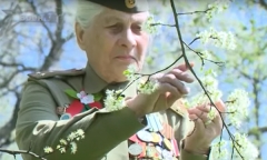 Военное обозрение 09.06.2016