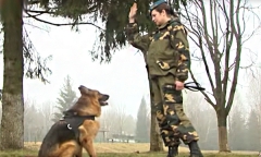 Военное обозрение 21.03.2017