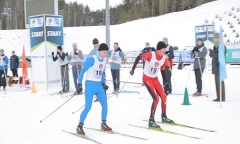 Лыжная эстафета