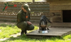 Кинологическому центру Вооруженных Сил - 30 лет!