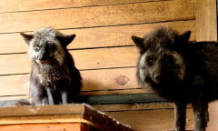 Военное обозрение 13.06.2024