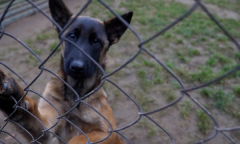 Анфас 09.03.2024