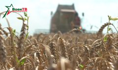 Военное обозрение 15.08.2024