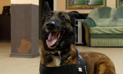 Военное обозрение 27.02.2024