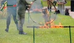 Военное обозрение 19.06.2025