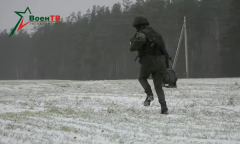 Анфас 01.02.2025