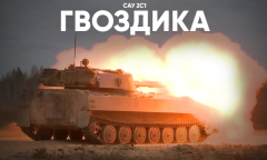 САУ 2С1 «Гвоздика» // Анфас 01.11.2025