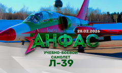 Учебно-боевой самолет Л-39 // Анфас 28.02.2026