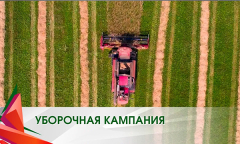 Уборка урожая в Сенненском районе Витебское области / Военные оказывают помощь